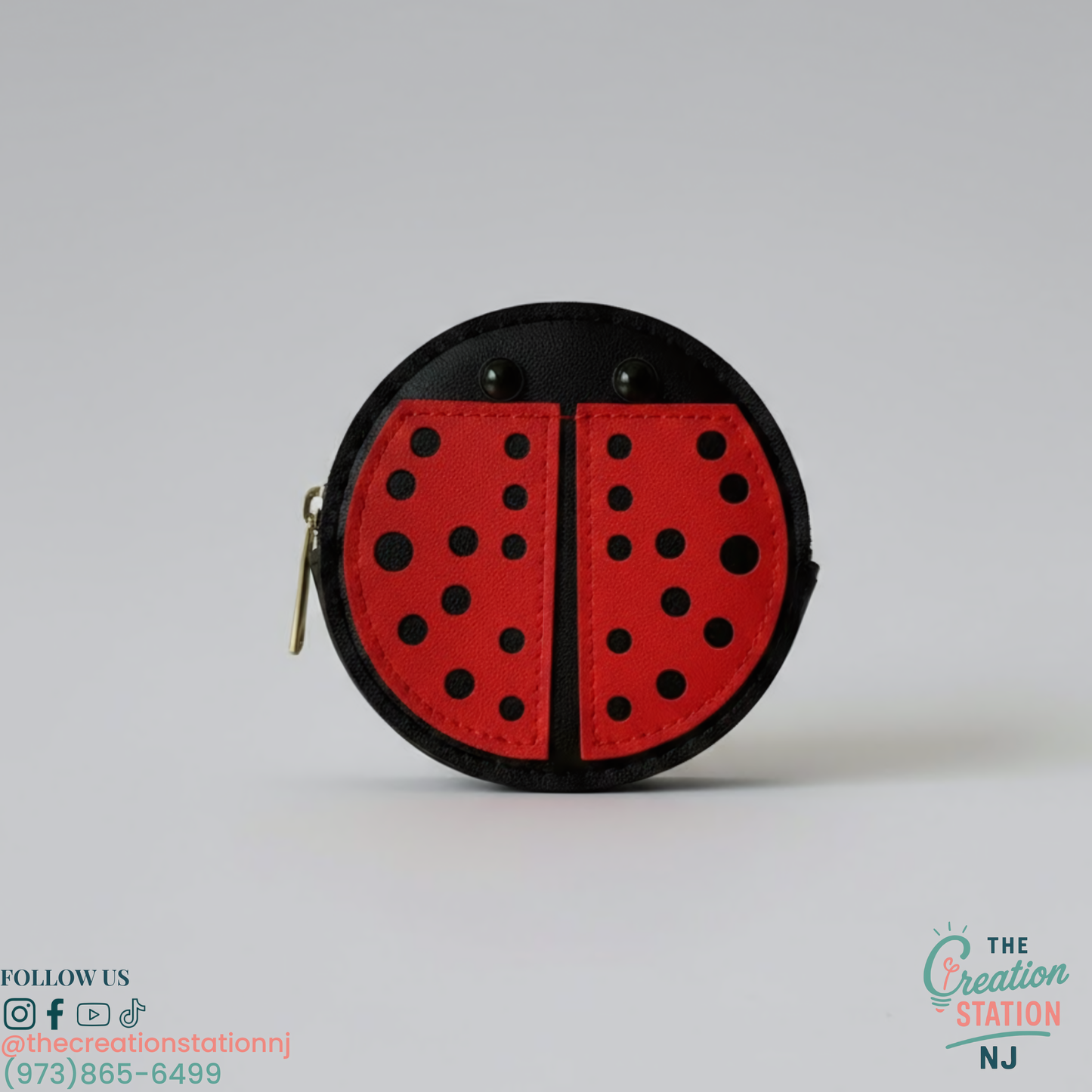 Ladybug Crossbody Bag |  The Creation Station NJ